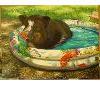 绘画 Student 艺术work - pig in a pool