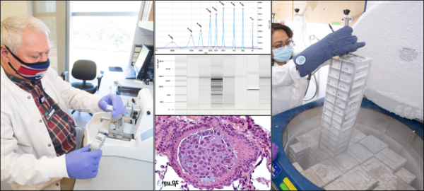 美国健康生物库和组织学核心设施表示图